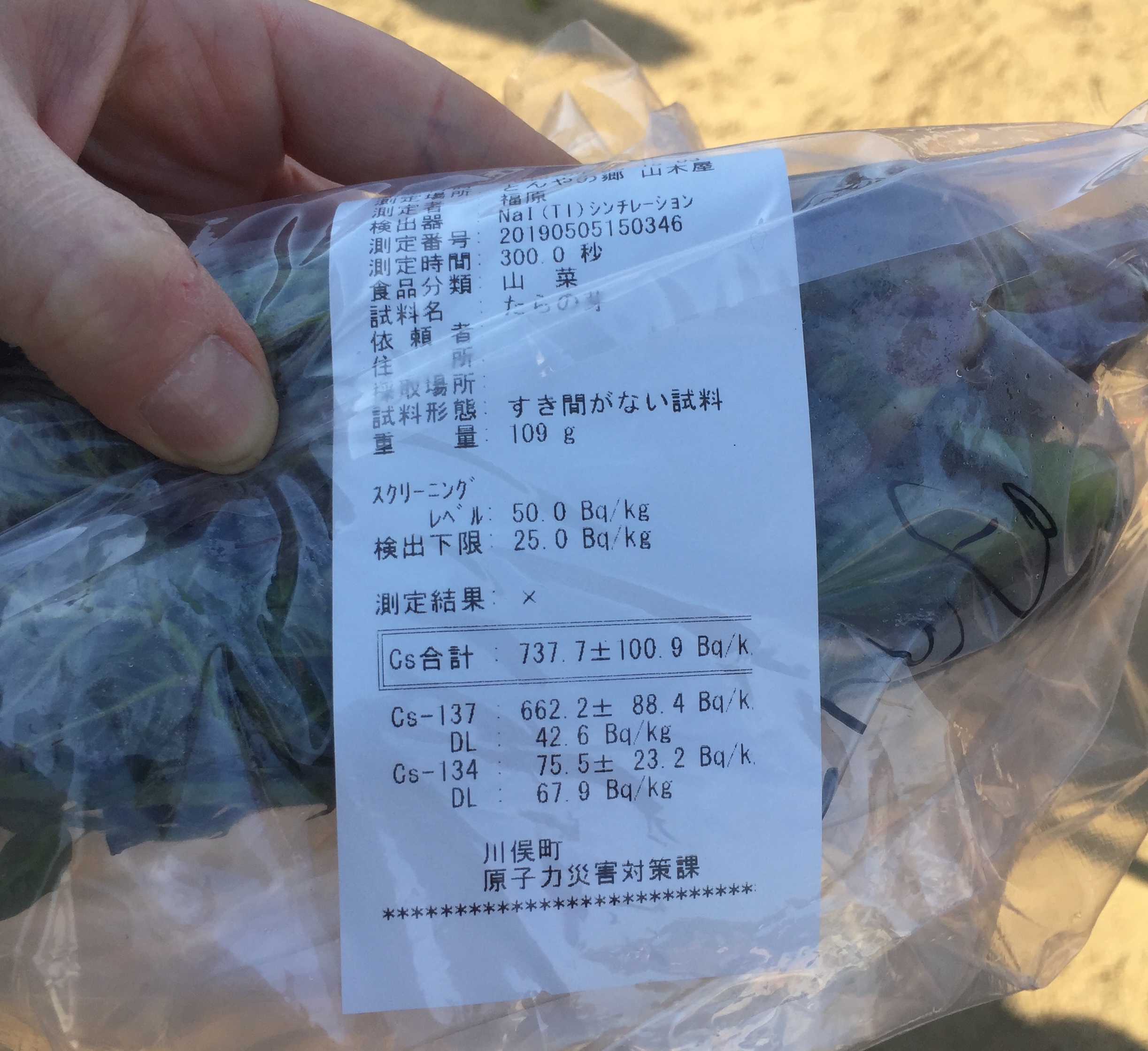 A bag of wild vegetables