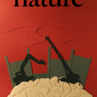 An image constructed of paper and cardboard depicting a wall being built between a brain and surrounding blood. The image is intended to replicate a cover of the journal Nature. 